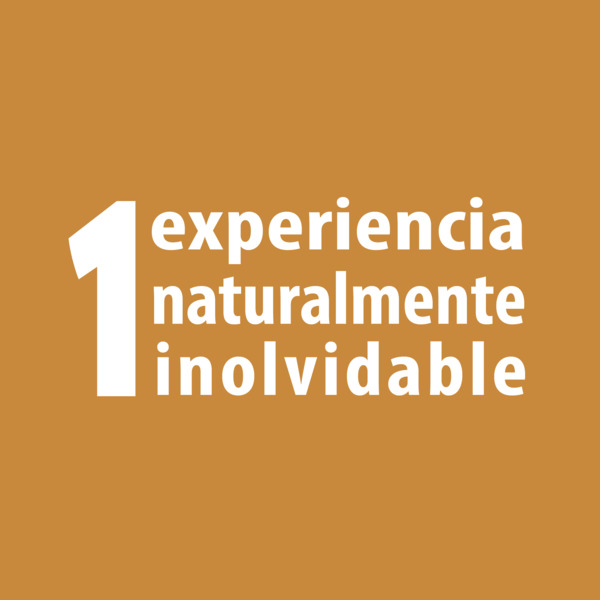 Experiencia